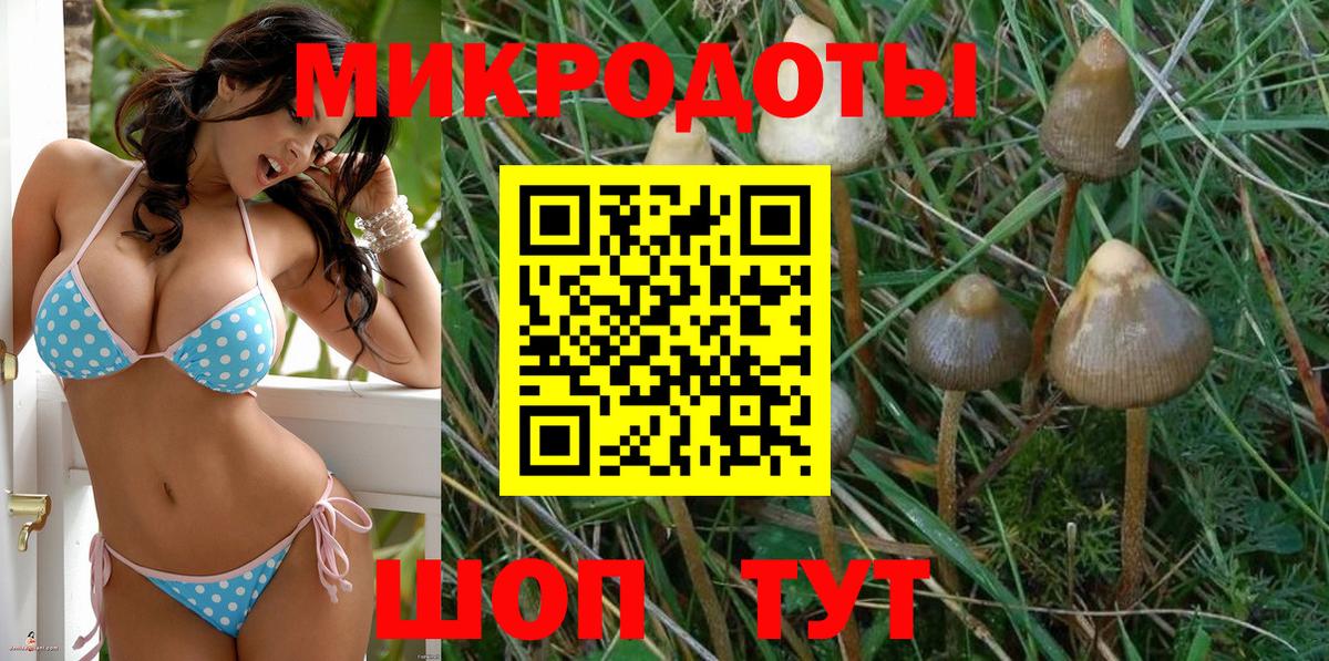как найти наркотики  Галлюциногенные грибы мухоморы  Вход с VPN  Унеча 