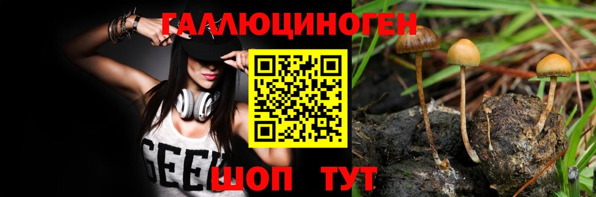 Псилоцибиновые грибы Cubensis Унеча