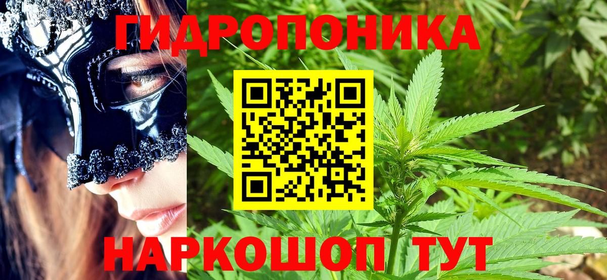 Шишки марихуана индика  МАРИХУАНА план  Унеча  Вход с VPN  Бошки марихуана THC 21% 
